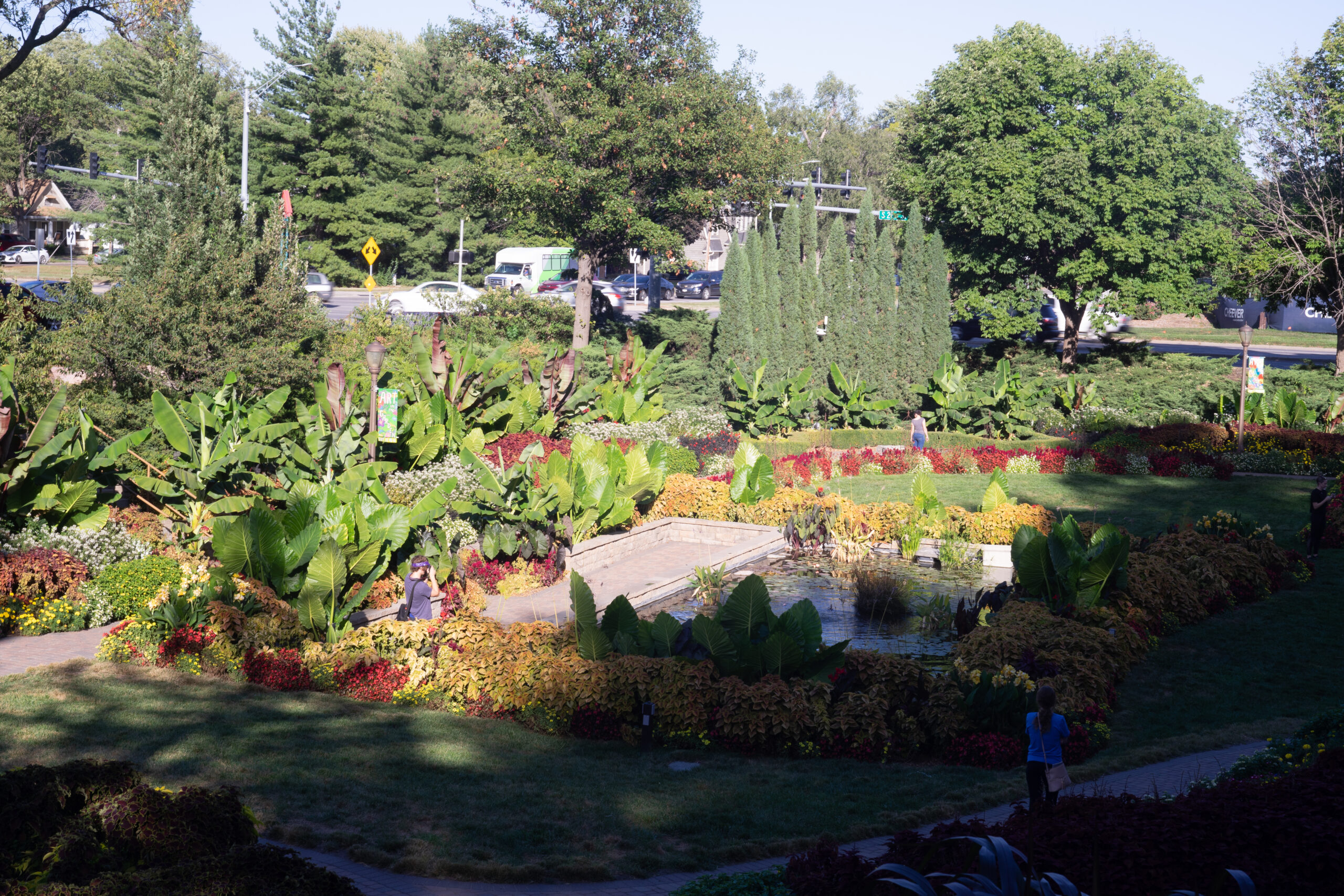 Sample Image with Helios 44-2