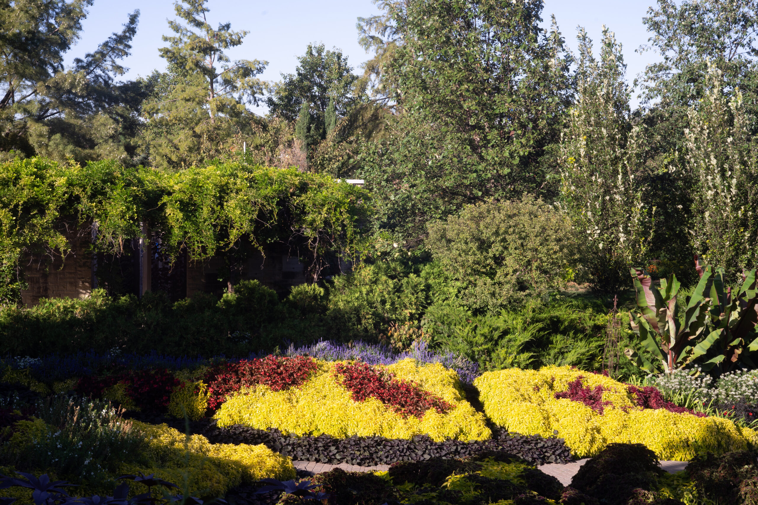 Sample Image with Helios 44-2