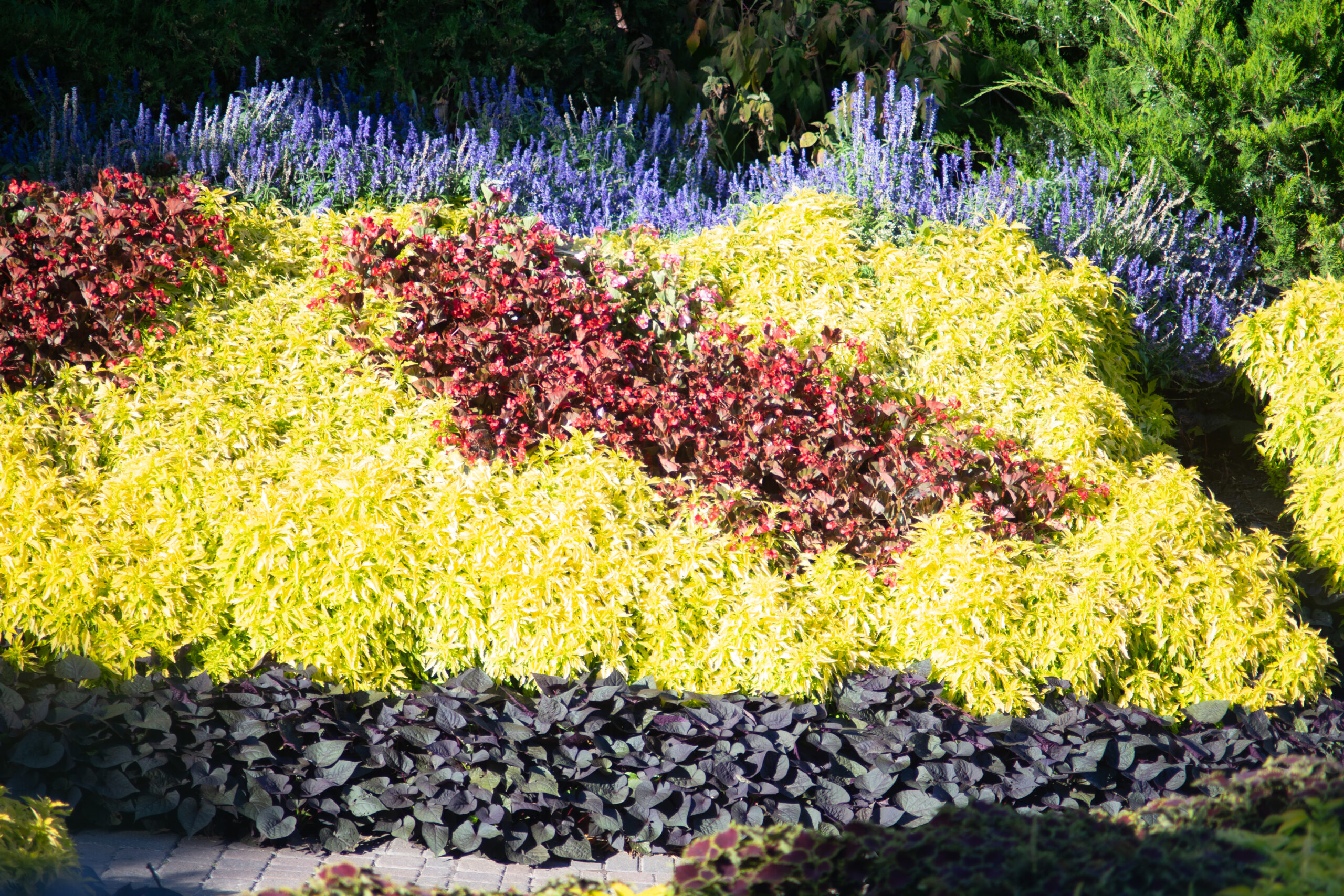 Sample image from Hanimex 200mm f3.5